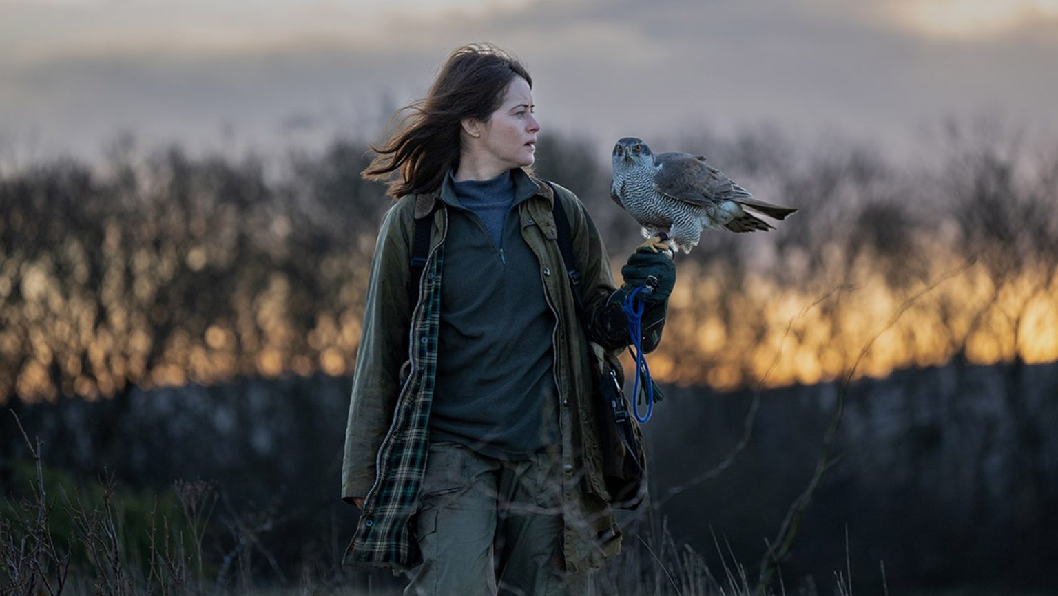 FILM: H is for Hawk (12A)